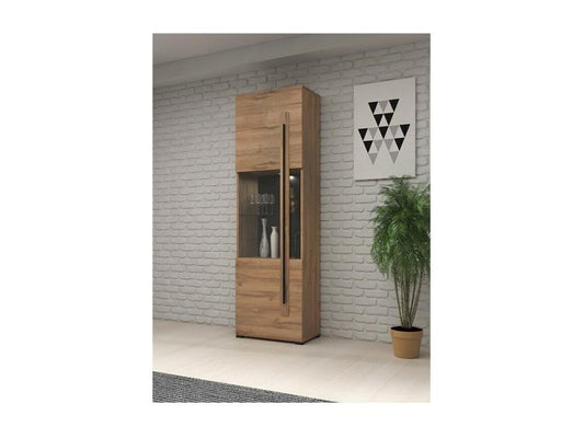 Vetrina di design con illuminazione LED integrata, collezione Artvivrestore, finitura rovere. 36168GOMQ